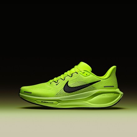 Nike Pegasus 41